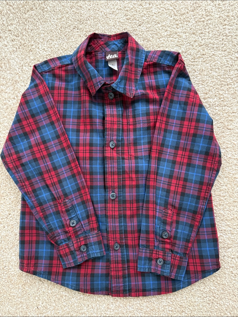 4T Tea Collection Red & Blue Plaid Button-Down Shirt for Kids